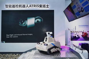 安防机器人市场发展现状与前景展望 网络技术的研发的视角